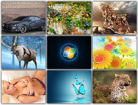 ������� �������� ����� ��� �������