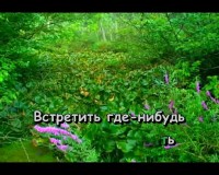 ������ ����� ��� ����� - ������� (DVD-5) 