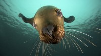 Excellent Wallpapers - ������� ����� ��� ��. ������� 122