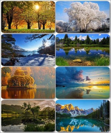 ���� ����������� ������� - ���� ������� (������ 7)