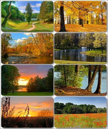 Full HD ���� - ���� ���������� ������� ������� (2)