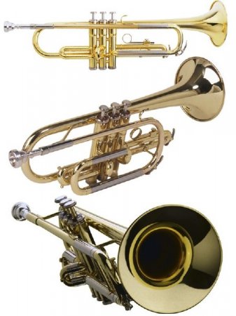 ������� �����������: ����� (�������)