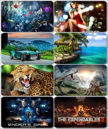 ���� �� ����� ���� - ������� �������� �������� (����� 5)