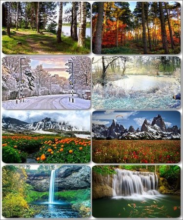 �������� ������� - ������� ����� � ���� (������ 12)