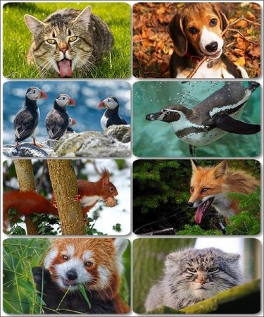 �������� �������� - ��������� ���� ����� (����� 10)