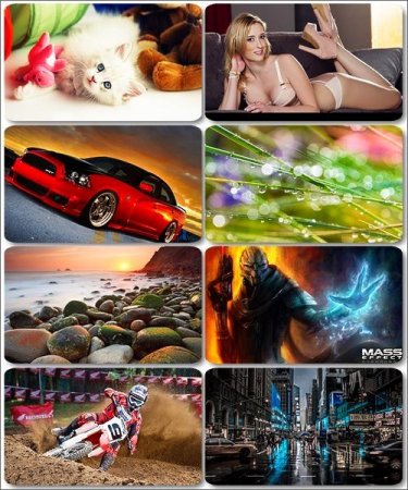 ���� �� ����� ���� - ������� �������� �������� (����� 6)