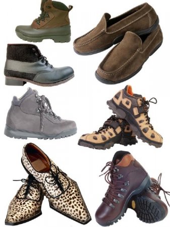 ����� �������: ����� � �������