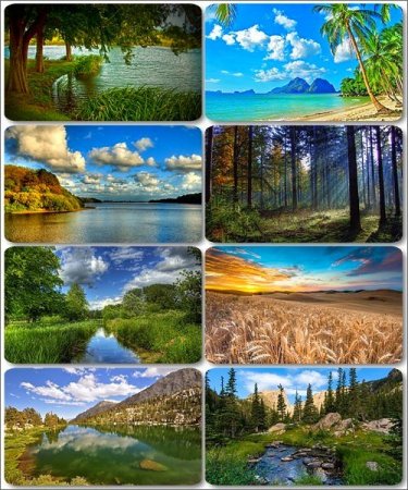 ���� ����������� �������� ������� - ���� ������ 8