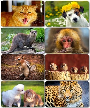 �������� �������� - ��������� ���� ����� (����� 12)