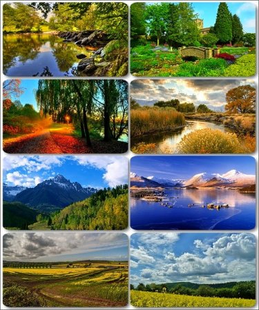 ���� ����������� ������� - ���� ������� (������ 8)