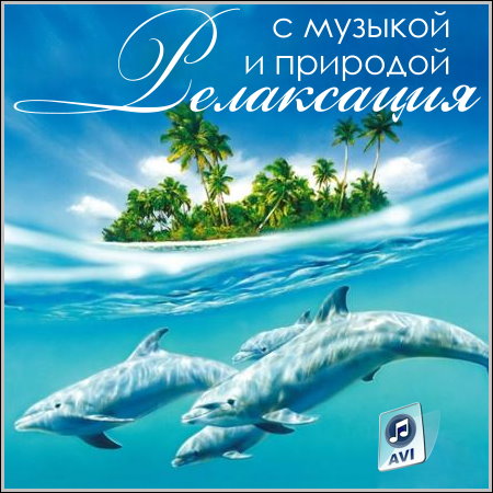 ���������� � ������� � �������� (DVDRip)