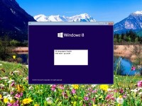 Windows 8.1 Spring 2014 Update by adguard (x64/RUS/ENG/2014)