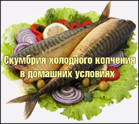 �������� ��������� �������� � �������� �������� (2014) DVDRip