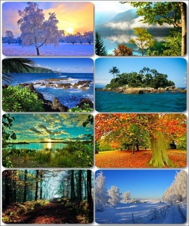 ���������� ������� - ���� � ���� ������� (������ 11)