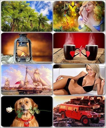 Mix ��������� �������� - ���� ��� �������� ����� (����� 6)