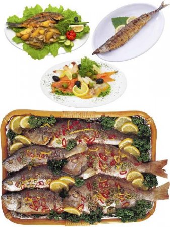 ���� �������������� (�������� ��������) ����� ������