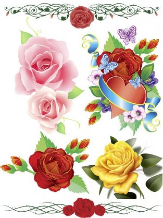 ���� ������������ (���� �������� ������)