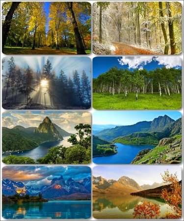 ���������� ������� - ���� � ���� ������� (������ 12)