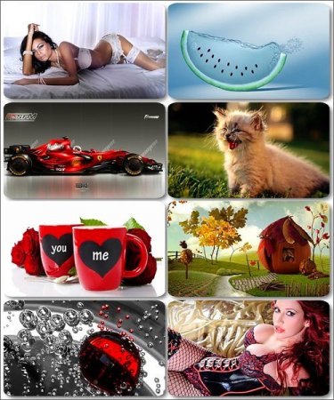 ���� �� ����� ���� - ������� �������� �������� (����� 11)