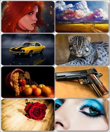 Mix ��������� �������� - ���� ��� �������� ����� (����� 10)