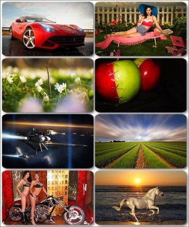 ���� �� ����� ���� - ������� �������� �������� (����� 12)