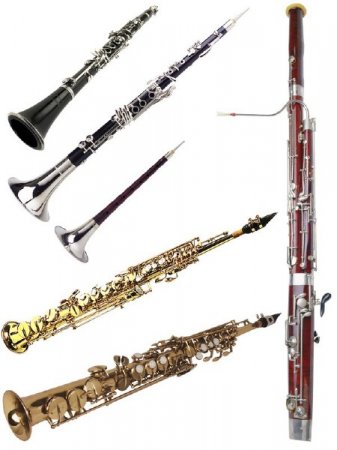 ������� �����������: �����, �������, ����� (�������)