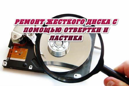 ������ �������� ����� � ������� �������� � ������� (2014)