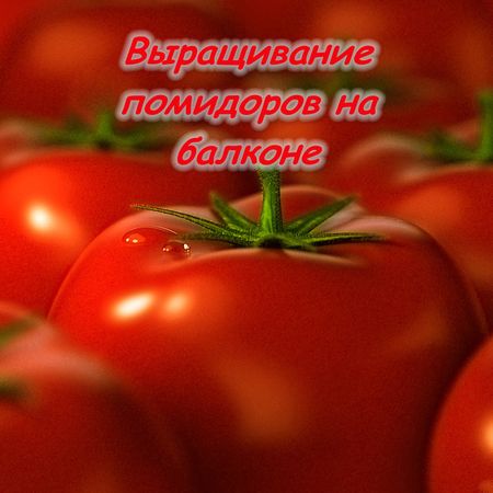 ����������� ��������� �� ������� (2014)