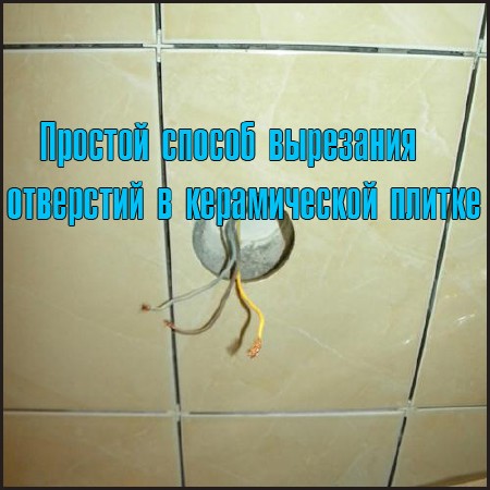 ������� ������ ��������� ��������� � ������������ ������ (2014) DVDRip