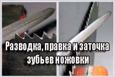 ��������, ������ � ������� ������ ������� (2014) WebRip