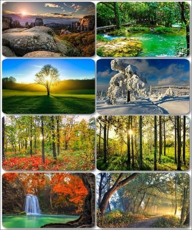 ���������� ������� - ���� � ���� ������� (������ 15)