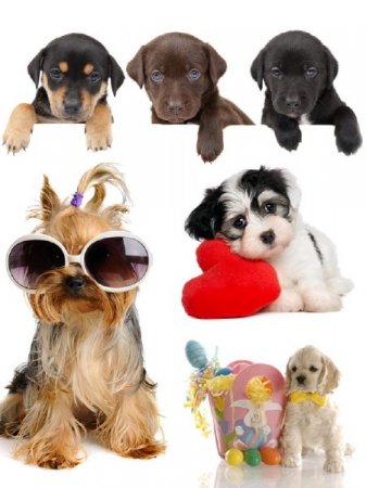 �������������� ����� (�������� �����������)