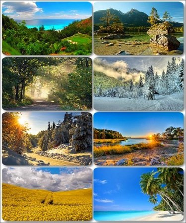 ���� ����������� �������� ������� - ���� ������ 15