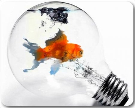 Bubble Fish - ����� ���� ��� �������� �����