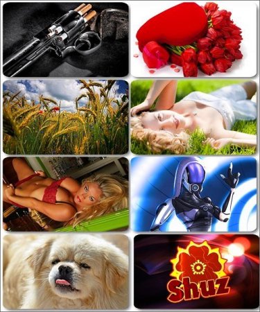 ��������� HQ ����� � ��������� ���������� ����� 14