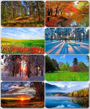 ���� ����������� ������� - ���� ������� (������ 14)