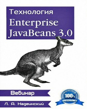  Enterprise Java Beans 3.0 (2013)  