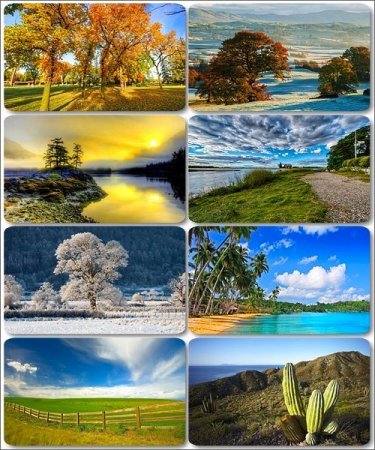 ���� ����������� �������� ������� - ���� ������ 16