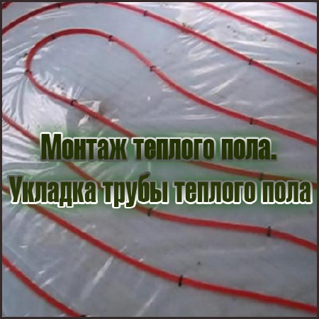 ������ ������� ����. ������� ����� ������� ���� (2014) DVDRip