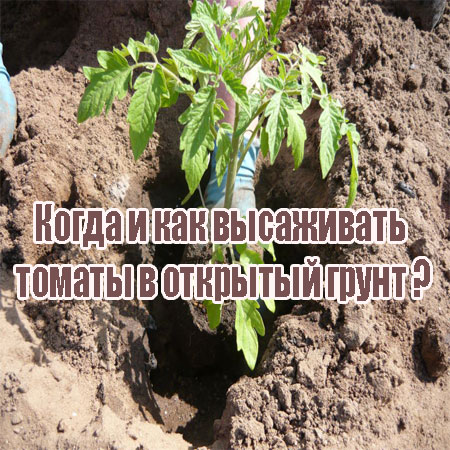 ����� � ��� ���������� ������ � �������� ����� (2014) WebRip