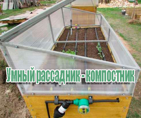 ����� ��������� - ���������� (2014) WebRip