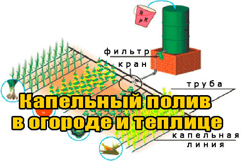 ��������� ����� � ������� � ������� (2014) WebRip