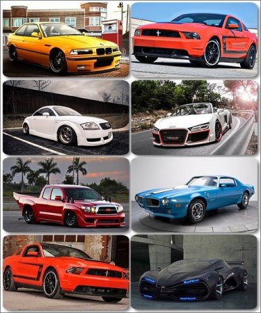 ���� ���� - �������� � ���� ����������� (����� 8)