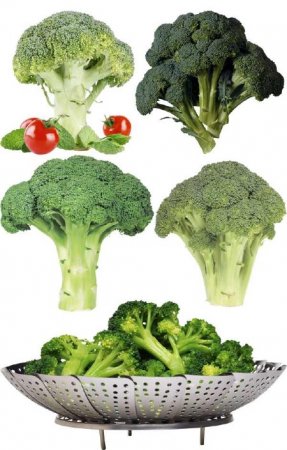 ��������� �������: �������� (�������� ��������)