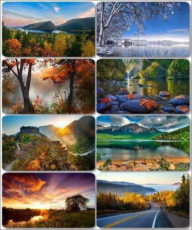 ���� ����������� ������� - ���� ������� (������ 17)