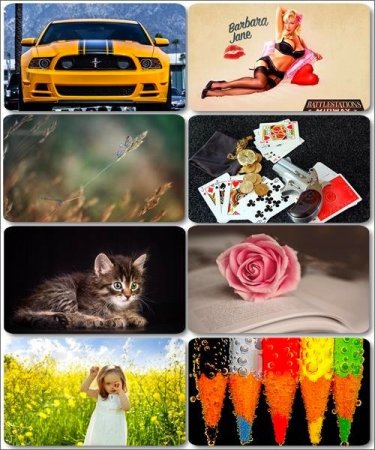 ���� �� ����� ���� - ������� �������� �������� (����� 22)