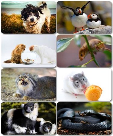 �������� �������� - ��������� ���� ����� (����� 22)