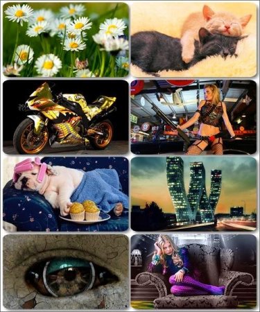 Mix ��������� �������� - ���� ��� �������� ����� (����� 23)