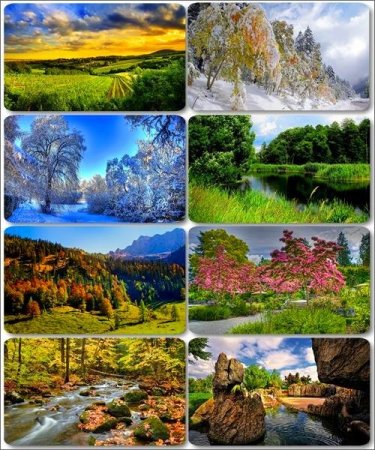 ���������� ������� - ���� � ���� ������� (������ 19)