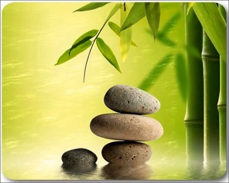 Bamboo Pond - ����� ���� ��� �������� �����